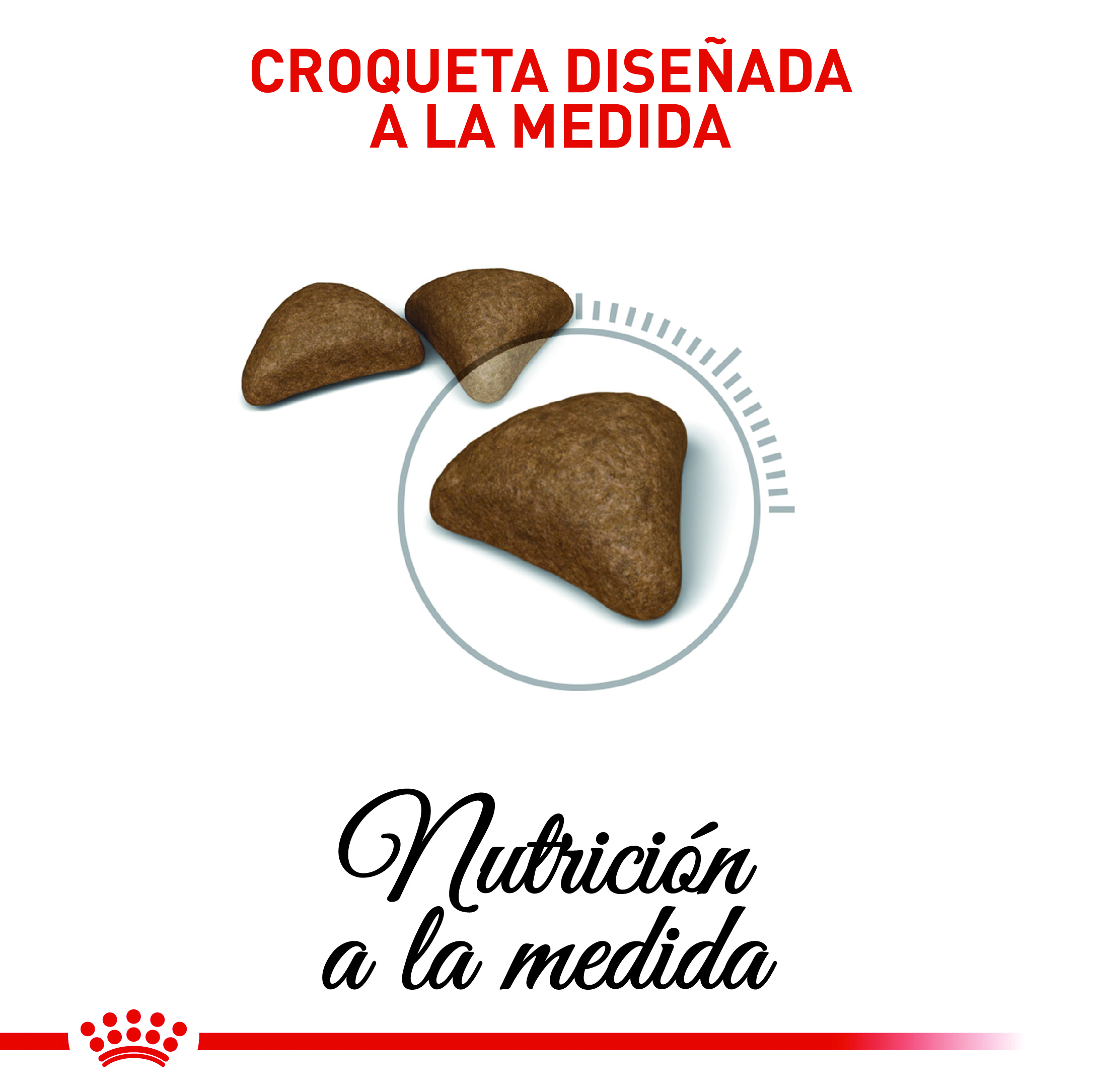 royal-canin-hairball-care