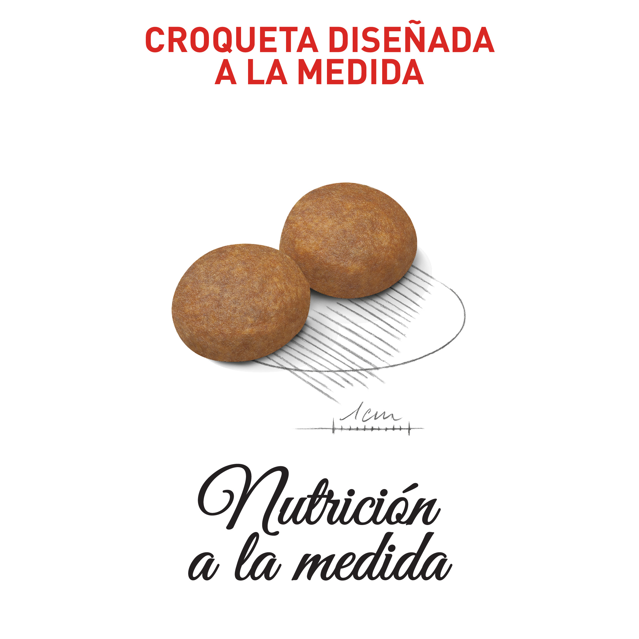 royal-canin-medium-adulto