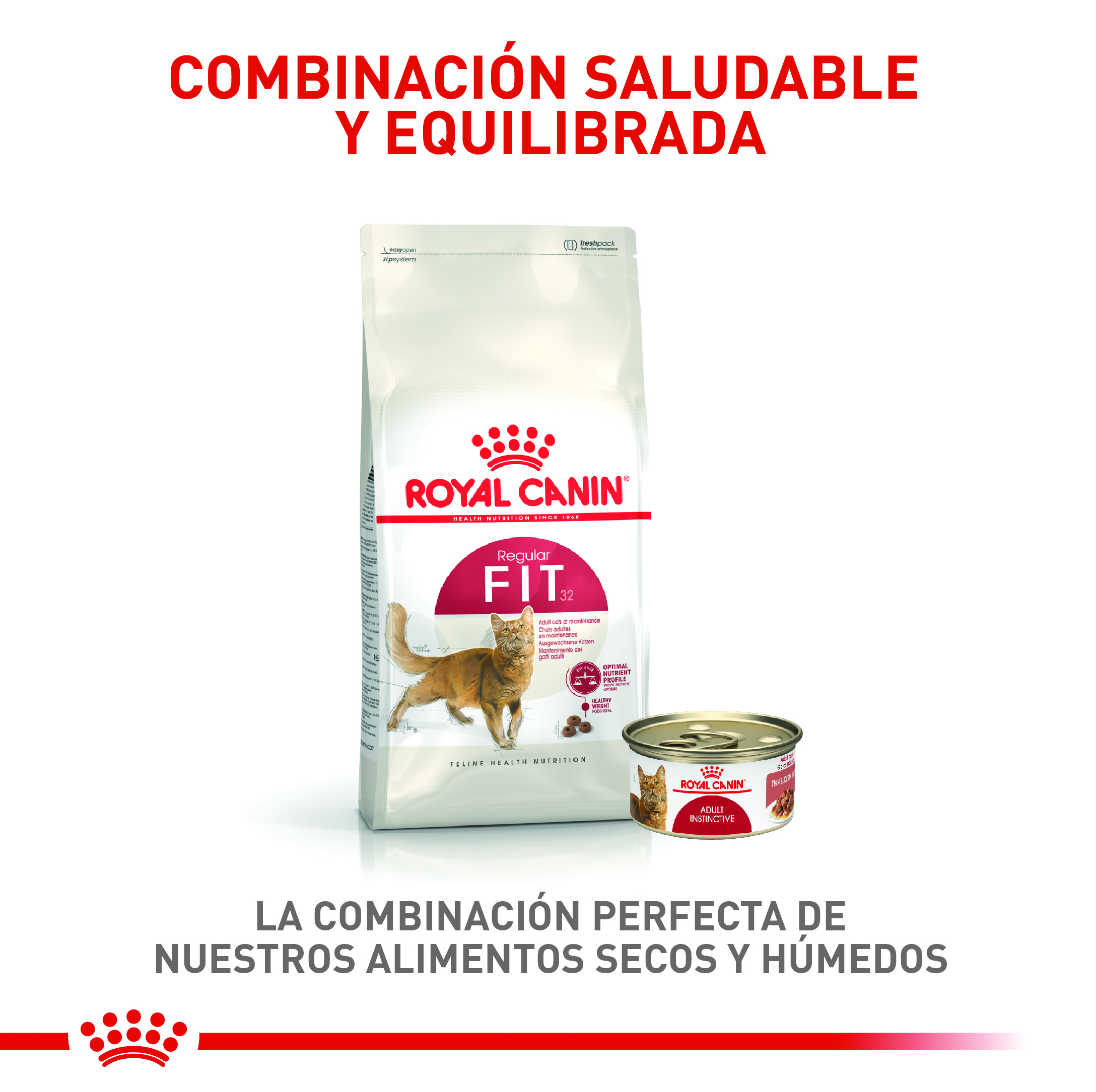 royal-canin-regular-fit