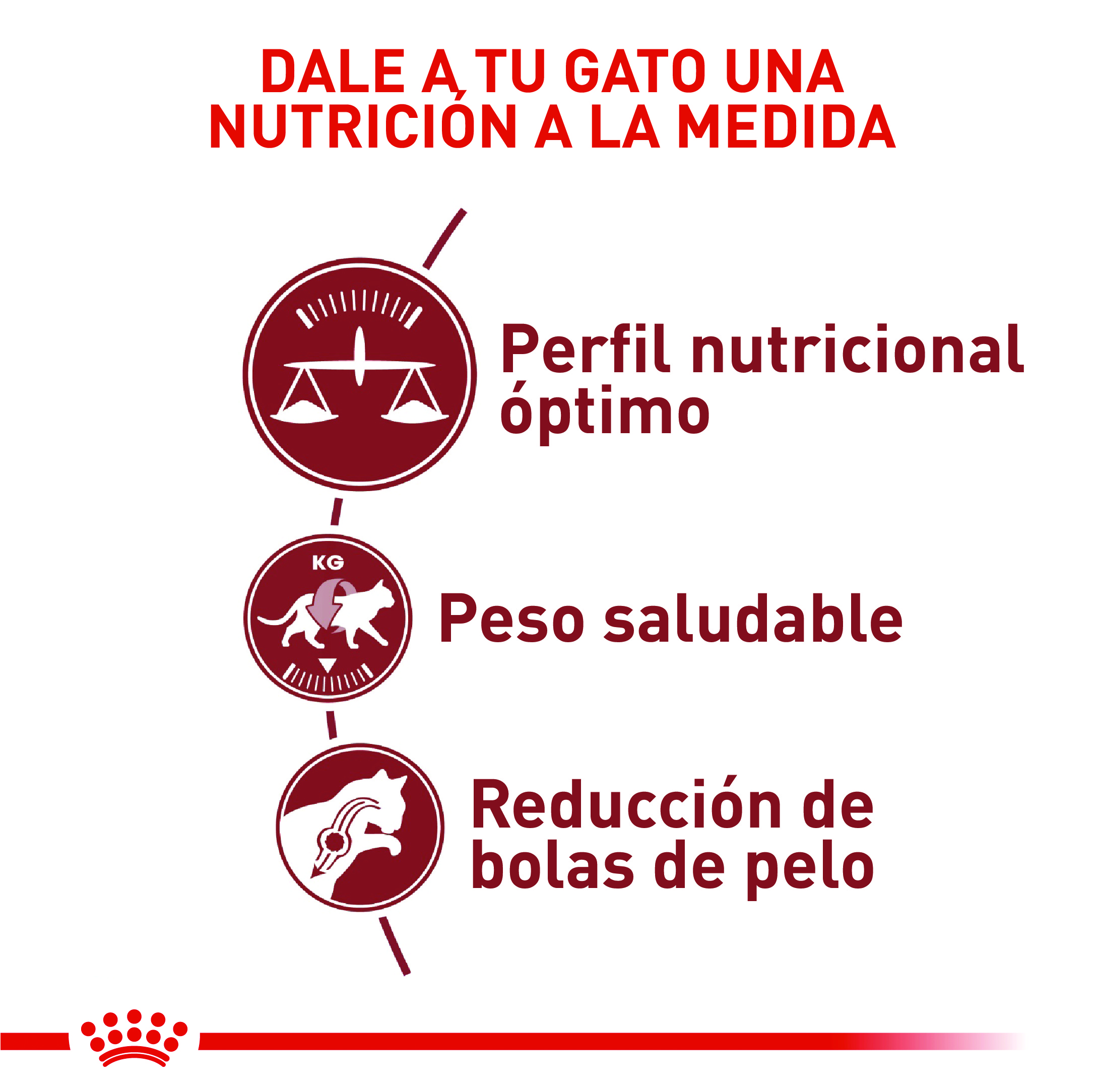 royal-canin-regular-fit