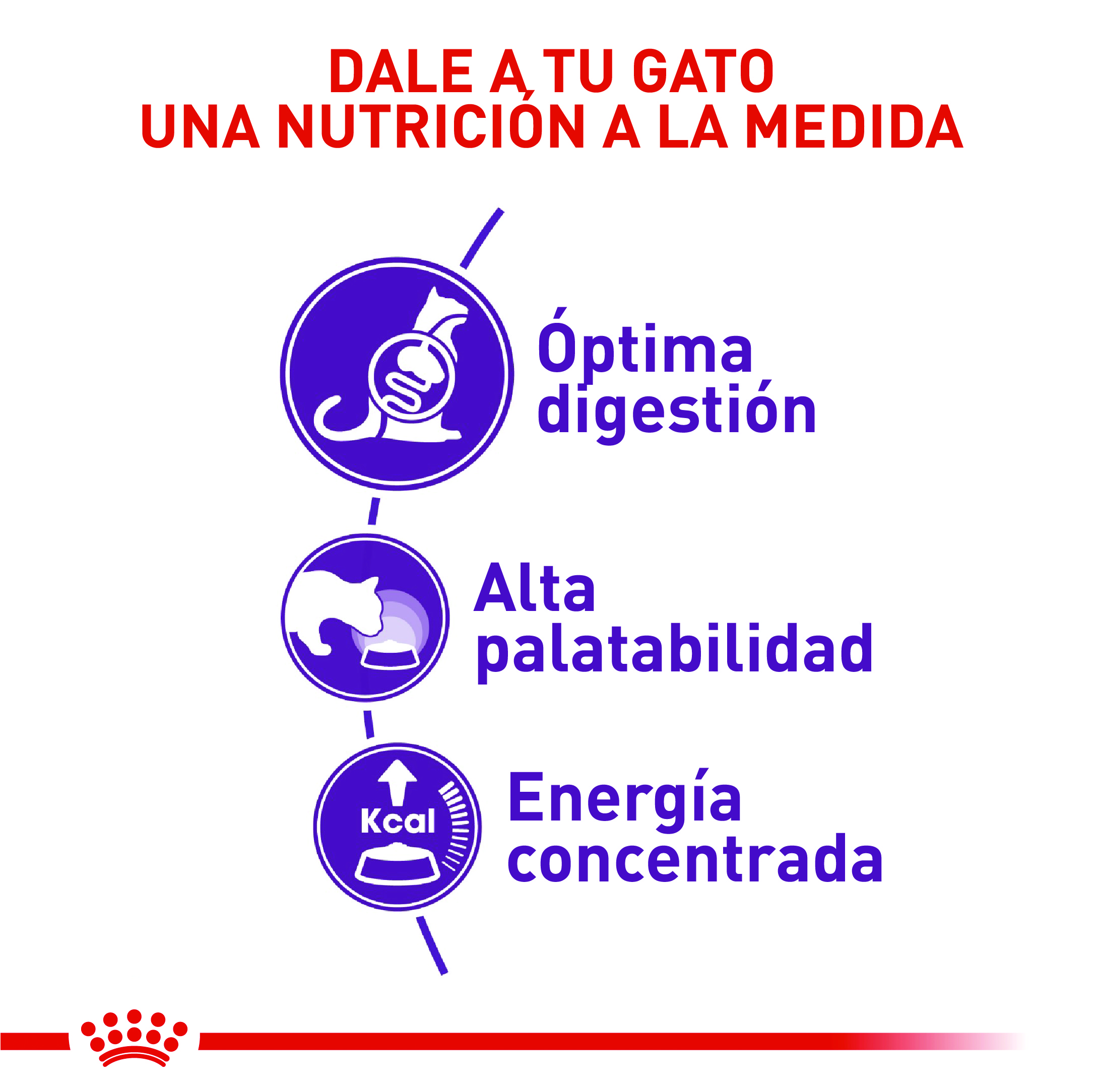 royal-canin-regular-sensible