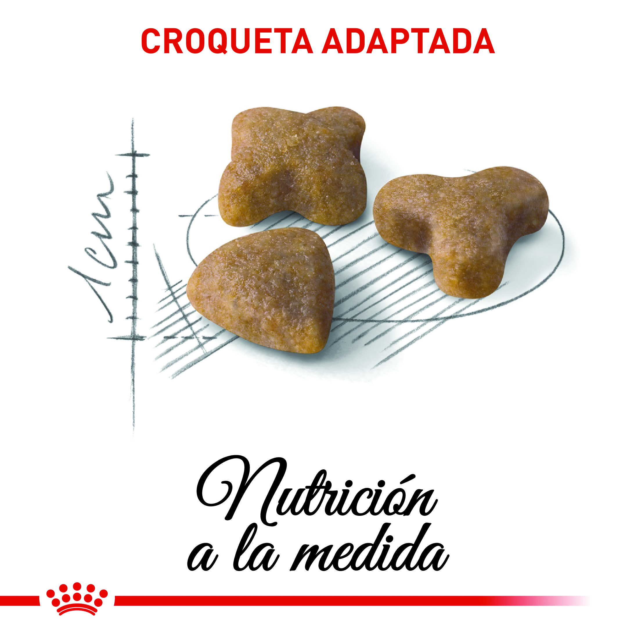 royal-canin-regular-sensible