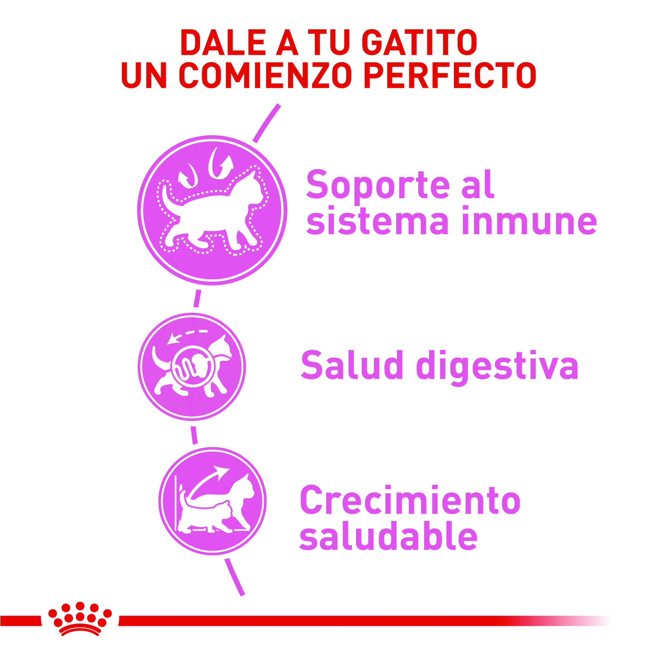 royal-canin-fhn-kitten