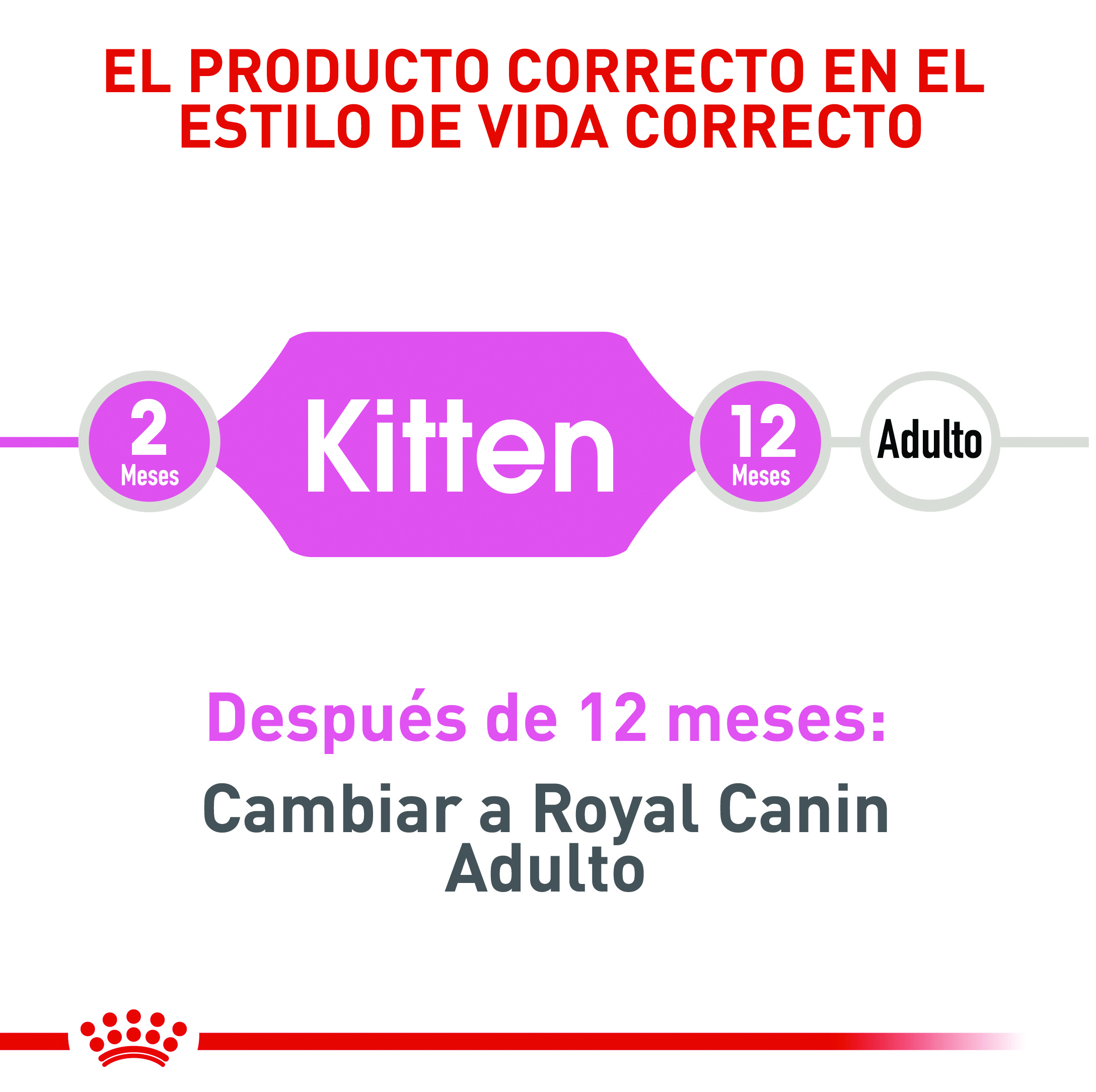 royal-canin-fhn-kitten