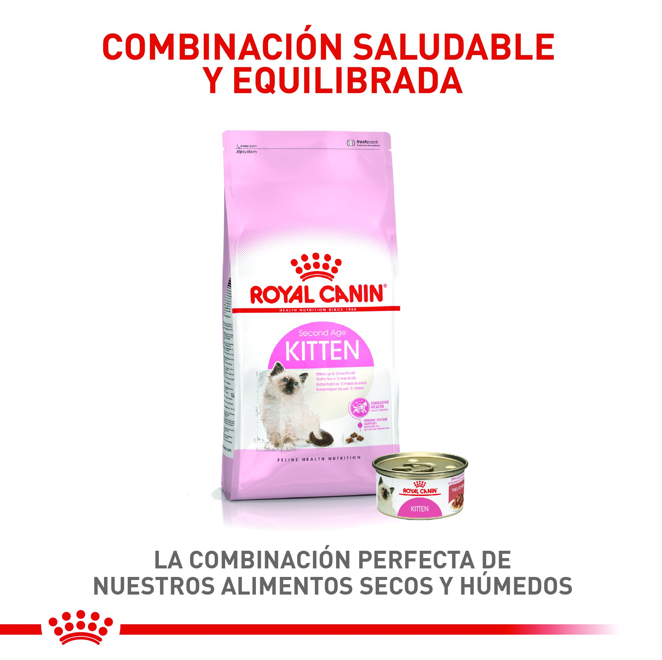 royal-canin-fhn-kitten