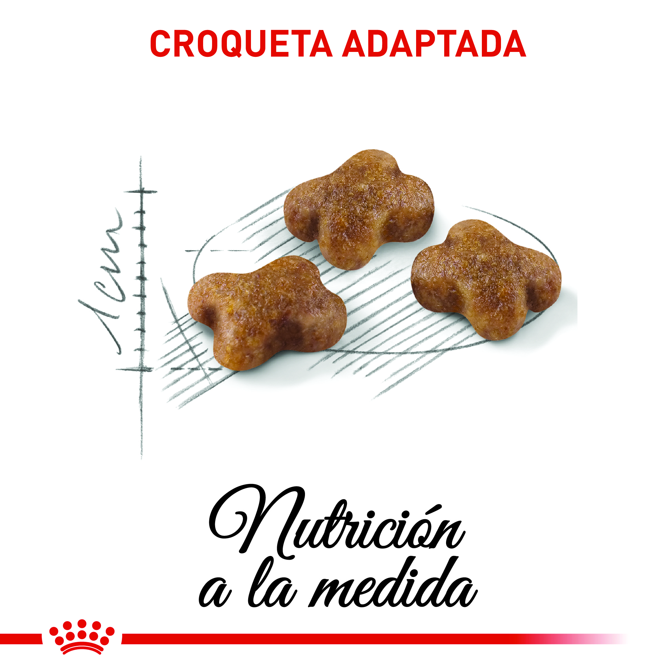 royal-canin-fhn-kitten