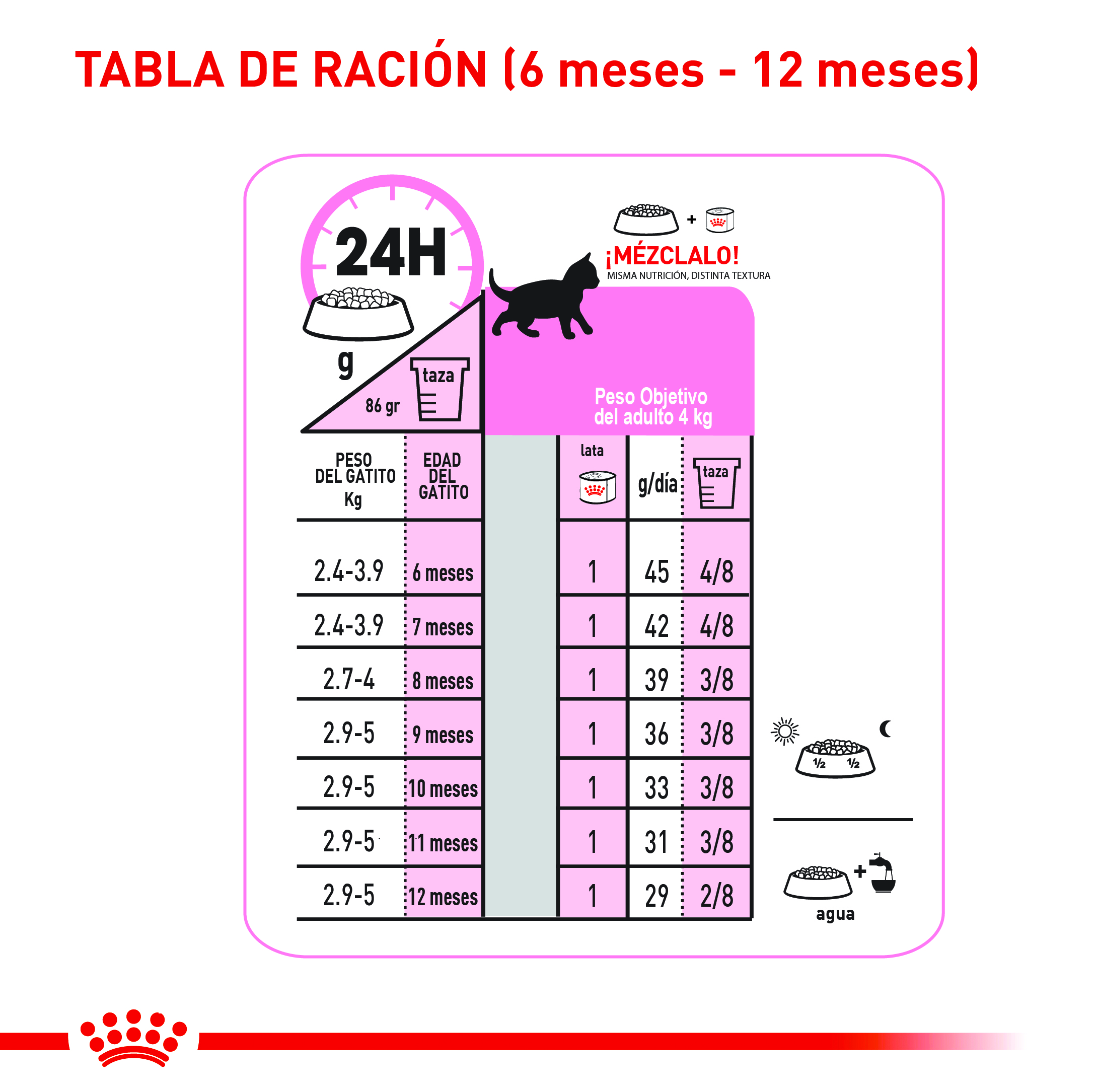 royal-canin-fhn-kitten