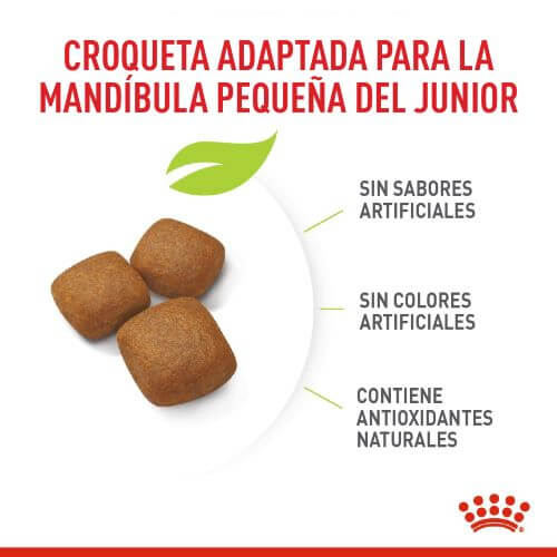 royal-canin-giant-junior