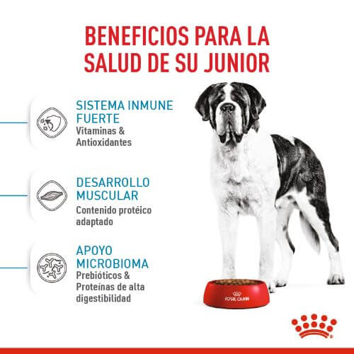 royal-canin-giant-junior