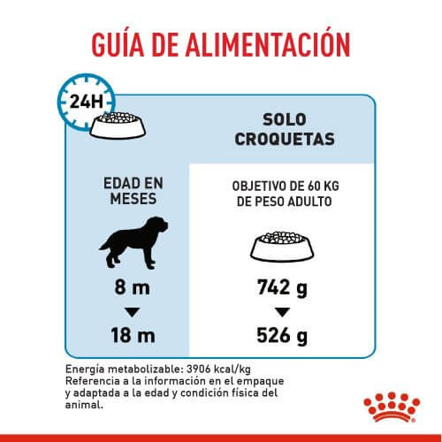 royal-canin-giant-junior