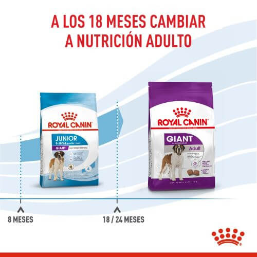 royal-canin-giant-junior
