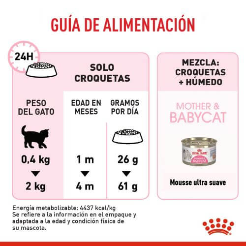 royal-canine-primera-edad-mother-and-baby-cat