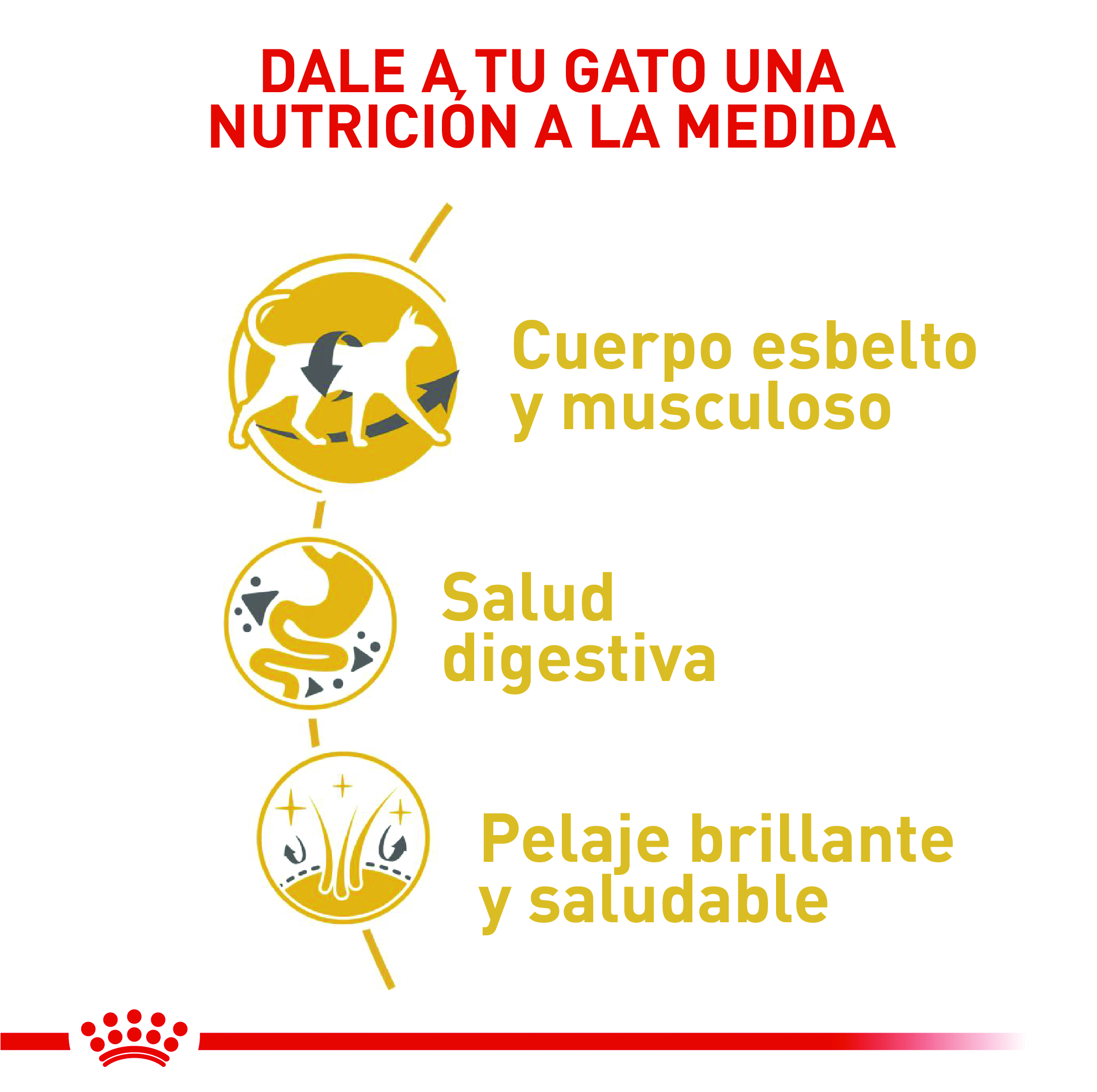 royal-canin-fbn-siames