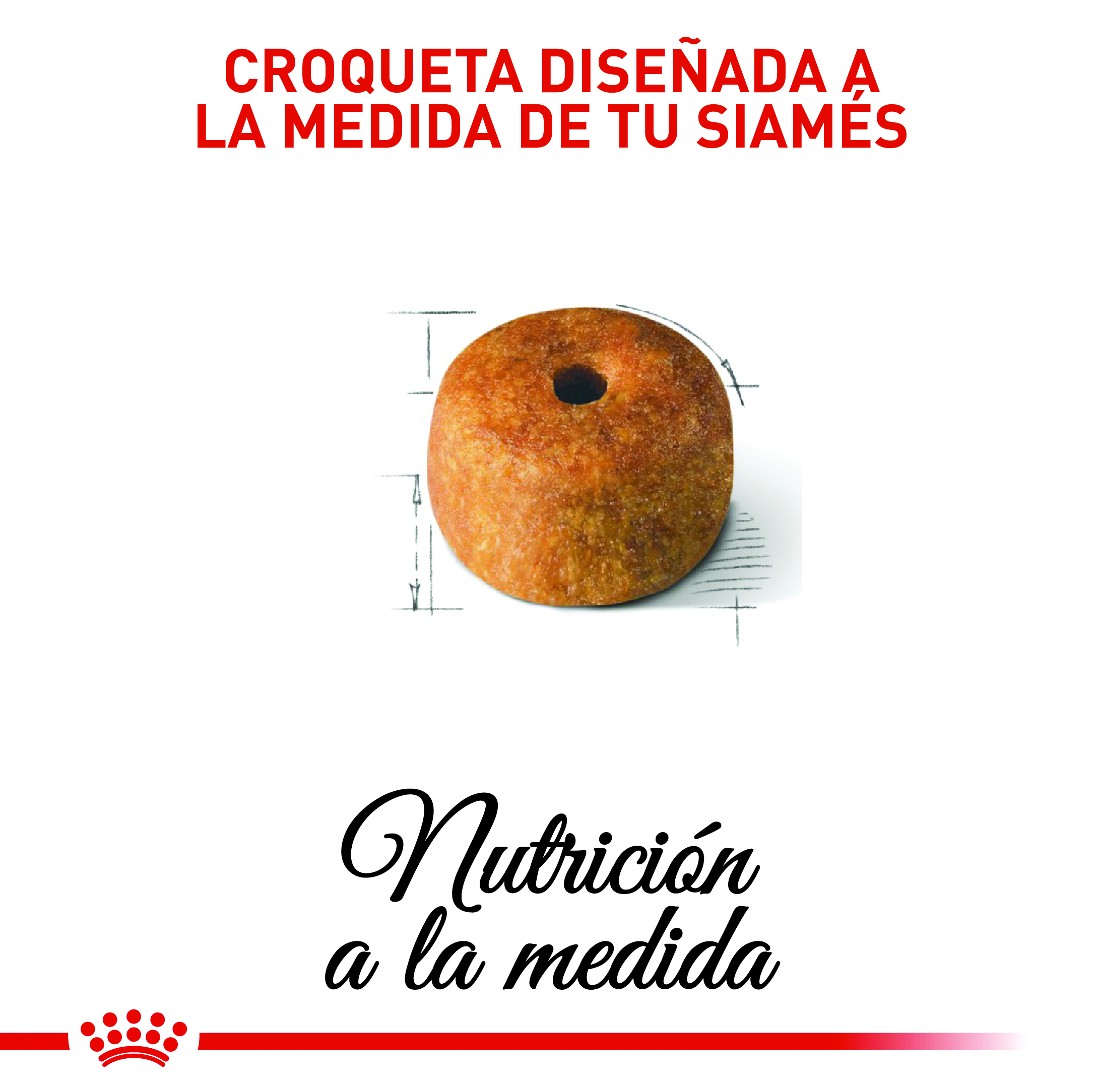 royal-canin-fbn-siames