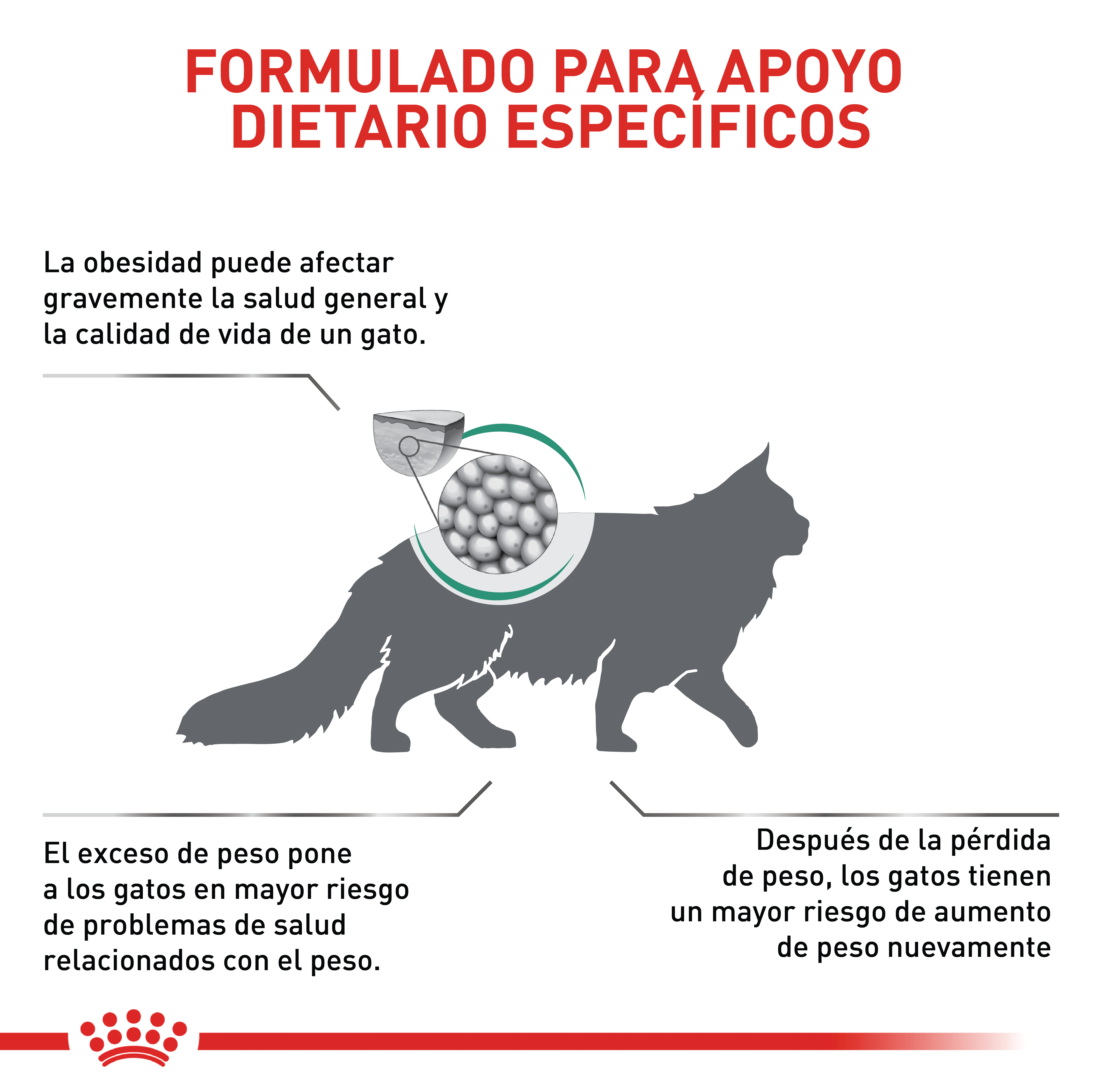 royal-canin-satiety-cat