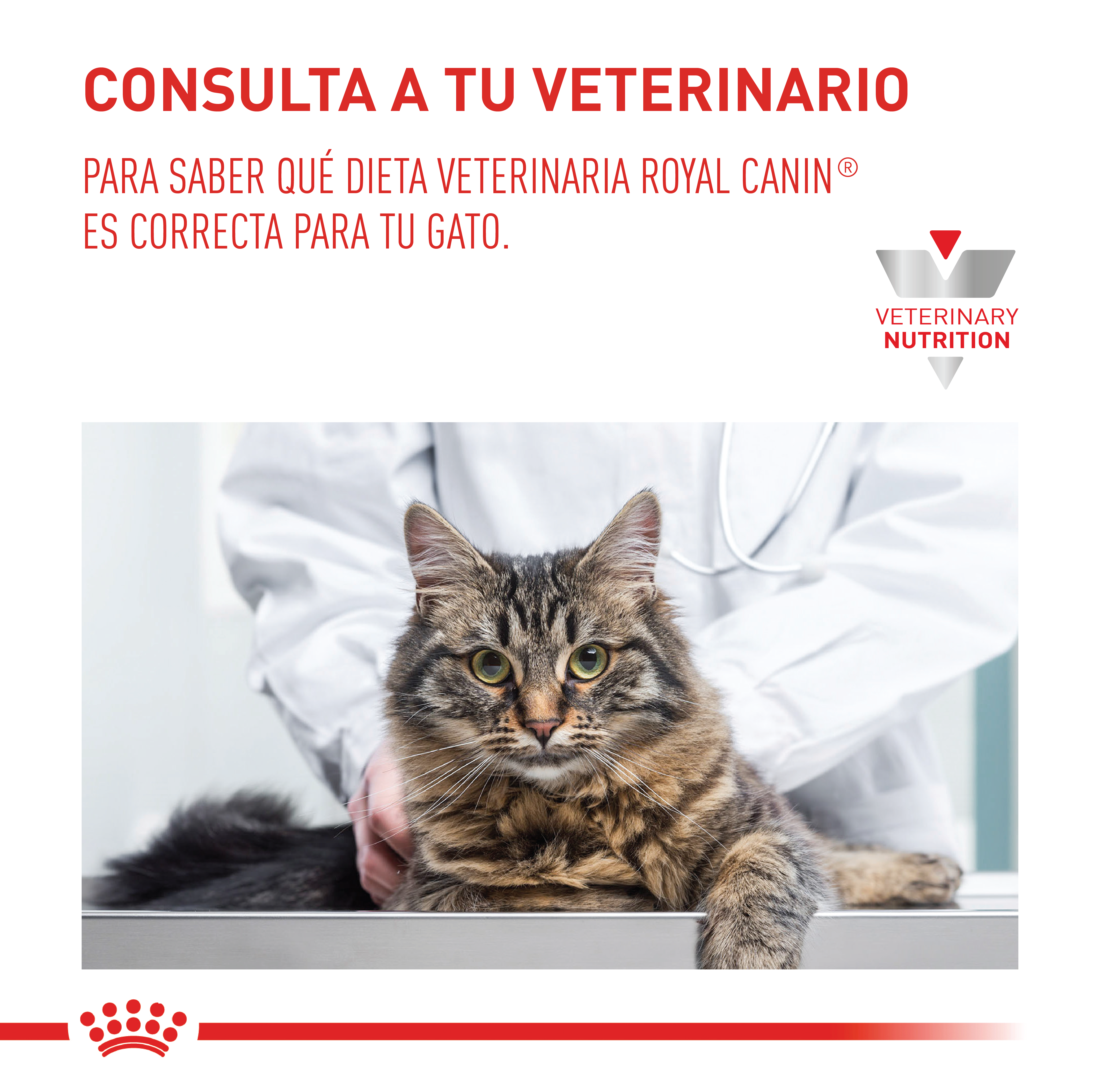 royal-canin-satiety-cat