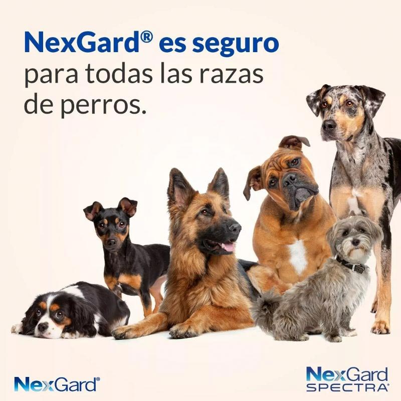 nexgard-perros-de-2-hasta-4-kg