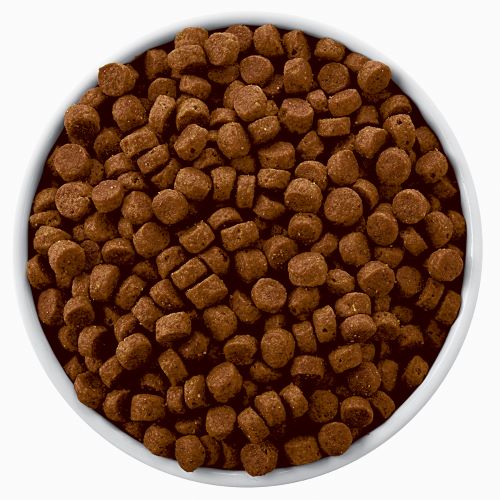 hills-prescription-diet-derm-defense-sensitivities-dog