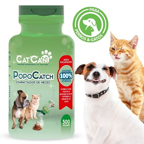 CatCan -  Popo Catch