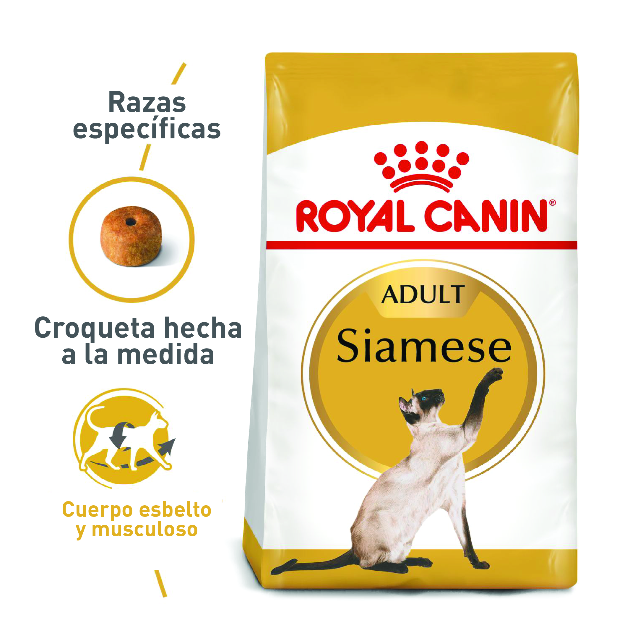Royal Canin - Fbn Siames Adult