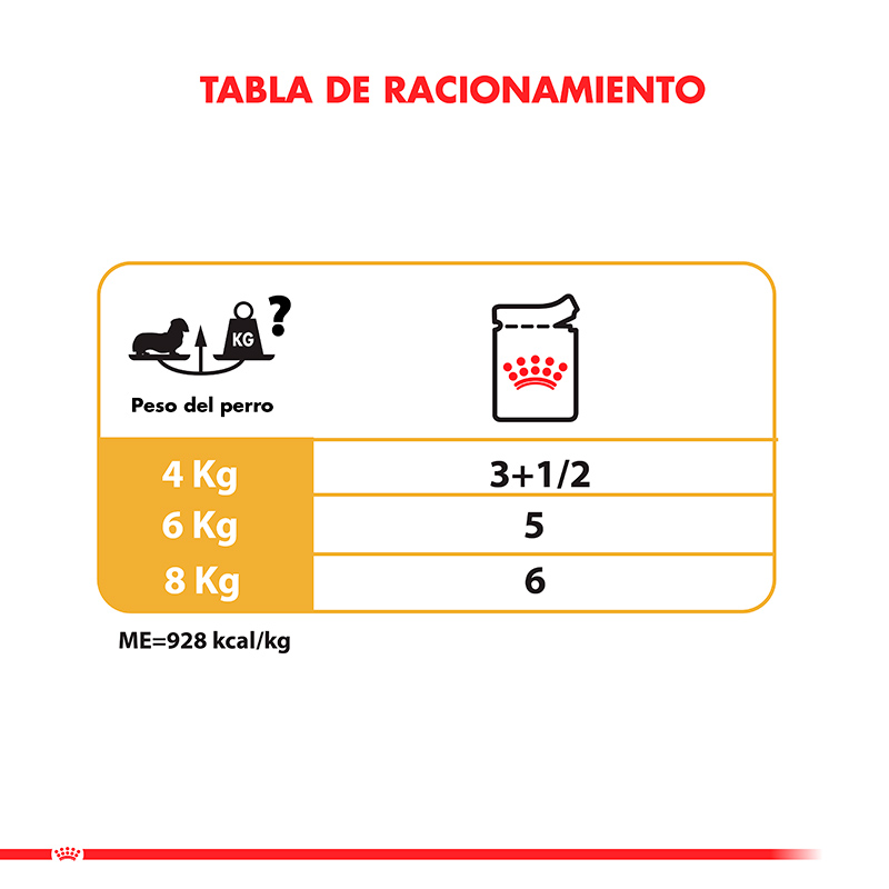 royal-canin-alimento-humedo-perro-adulto-dachshund