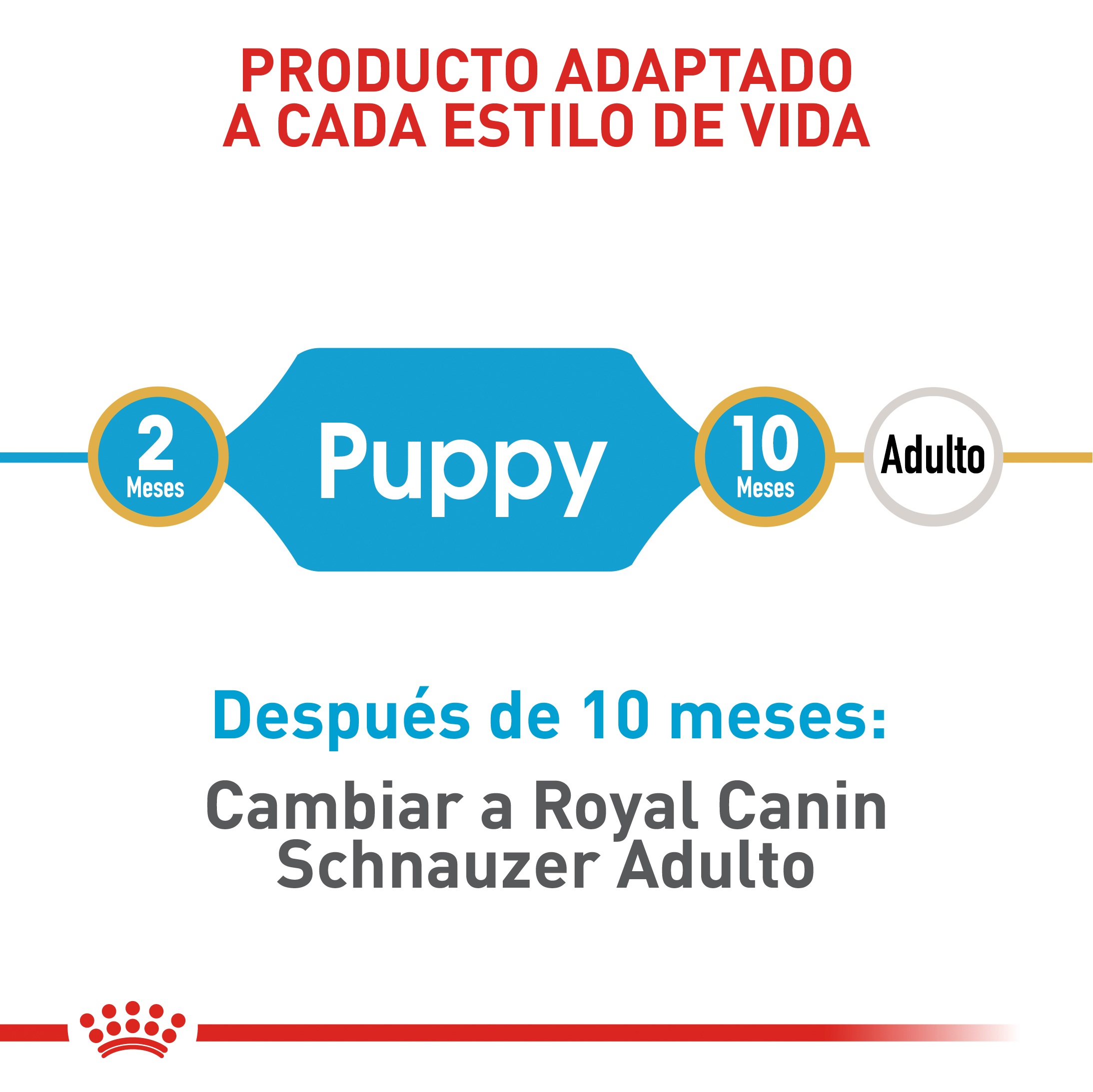 royal-canin-schnauzer-miniatura-puppy