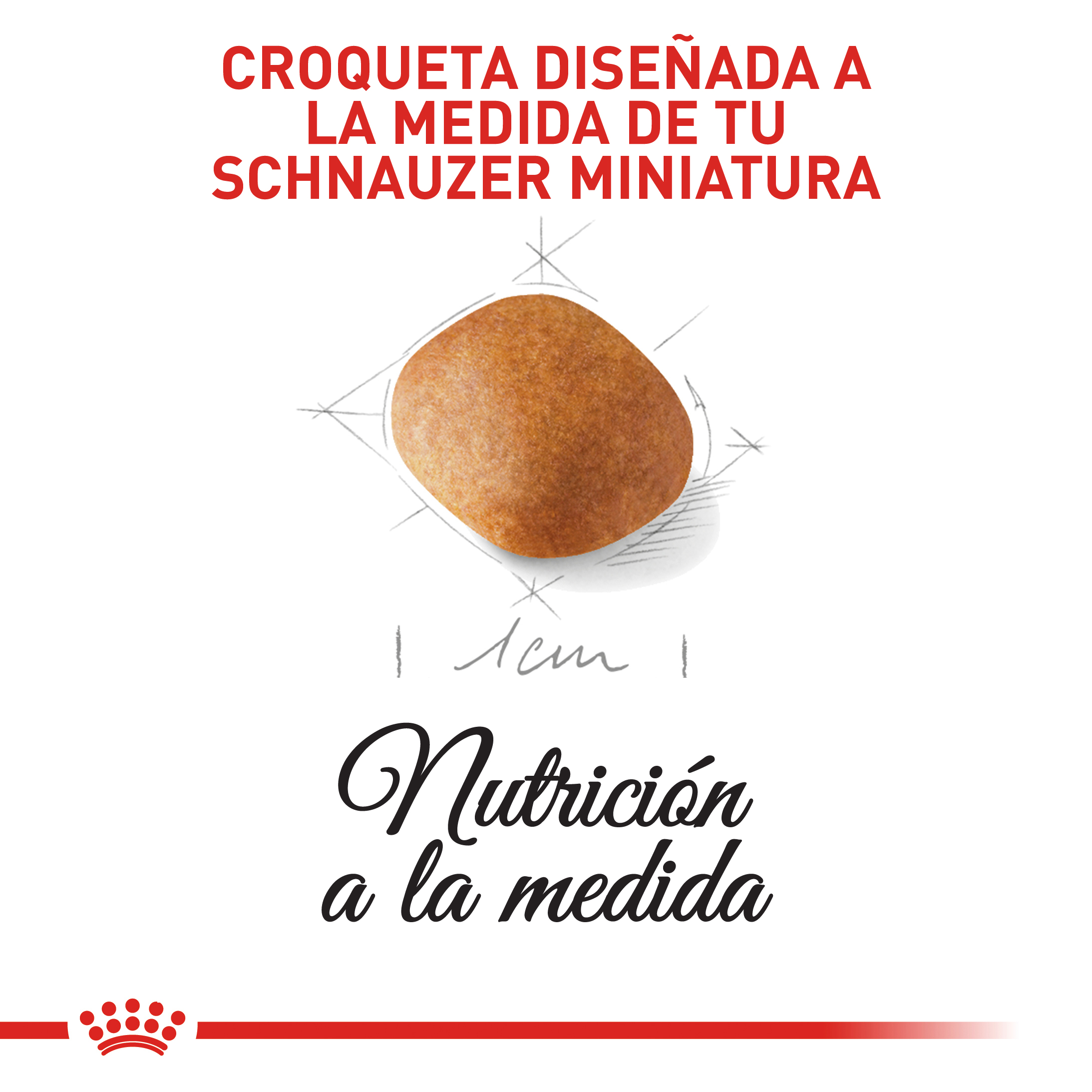 royal-canin-schnauzer-miniatura-puppy