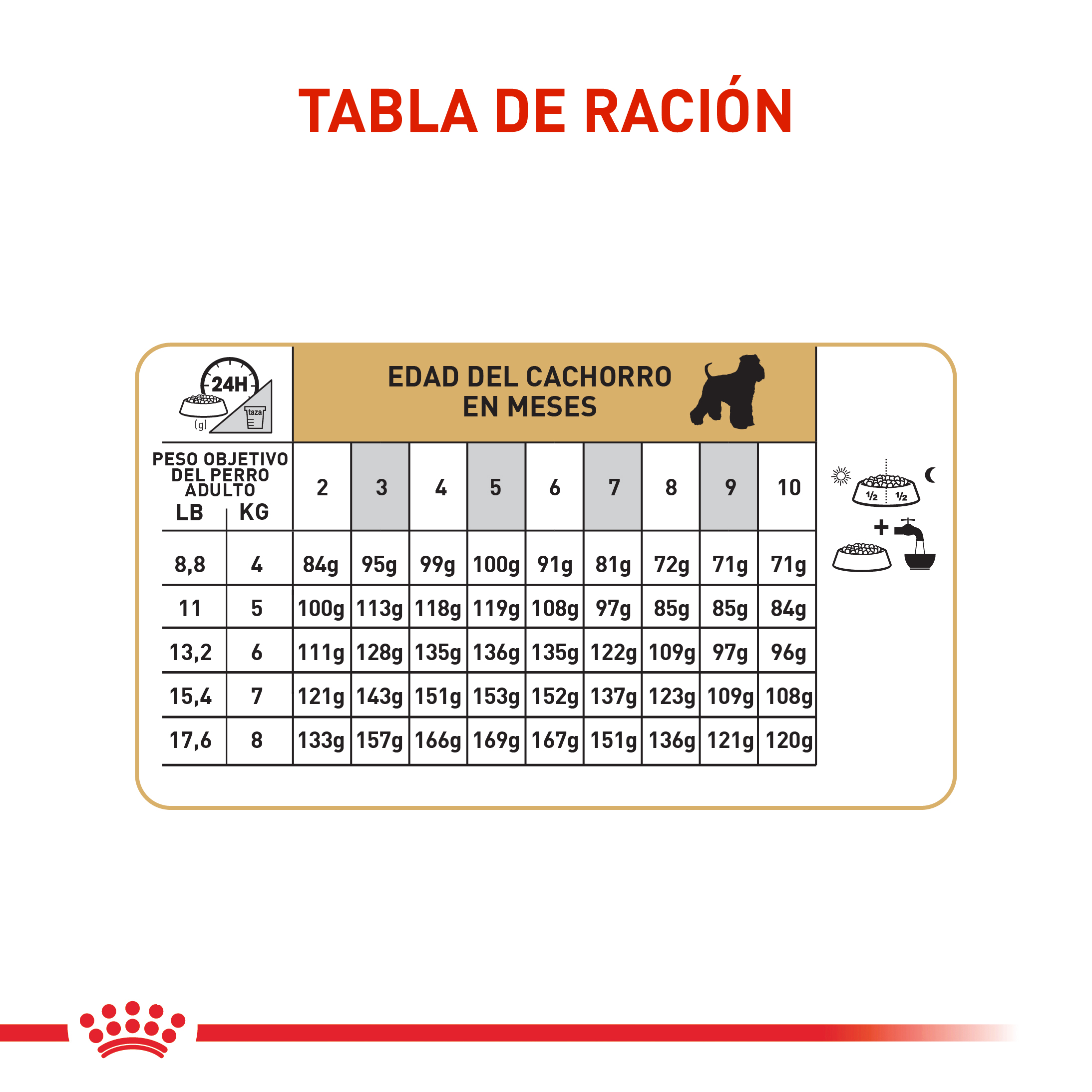 royal-canin-schnauzer-miniatura-puppy