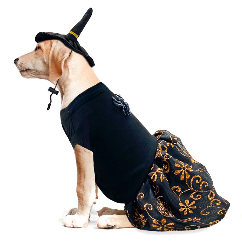 catm-disfraz-de-bruja-negro-con-naranja-para-mascota