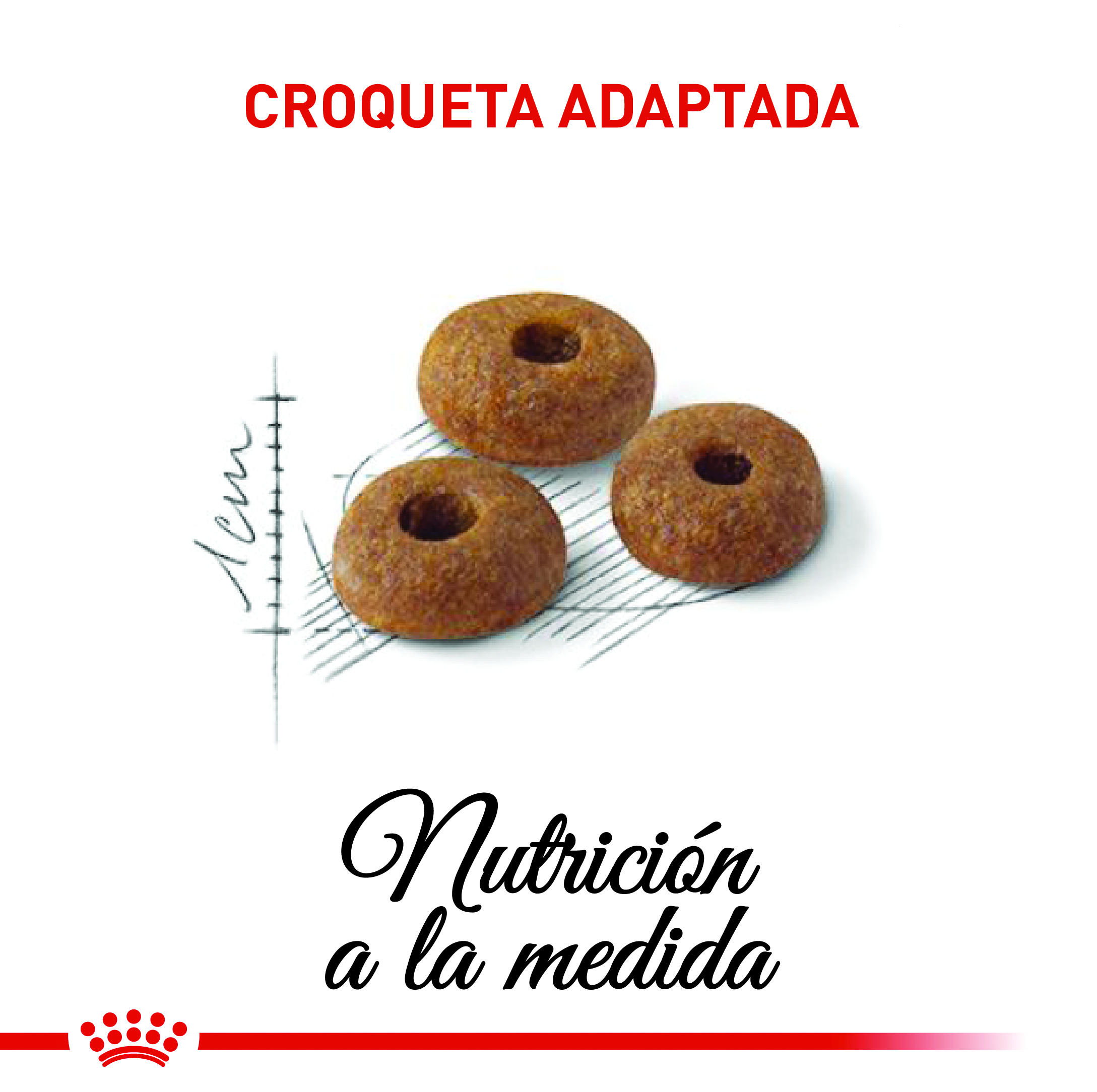 royal-canin-regular-fit
