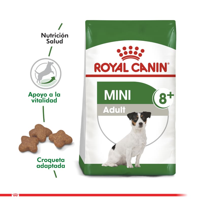 Royal Canin - Alimento Senior 8+ Mini Razas Pequeñas