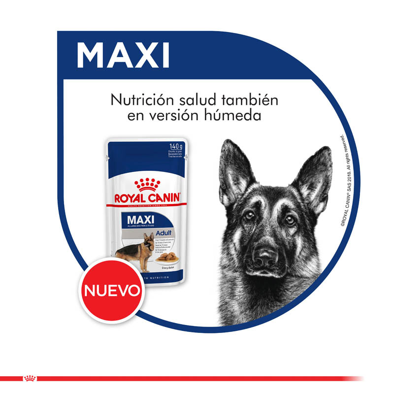 royal-canin-maxi-adulto-pouch