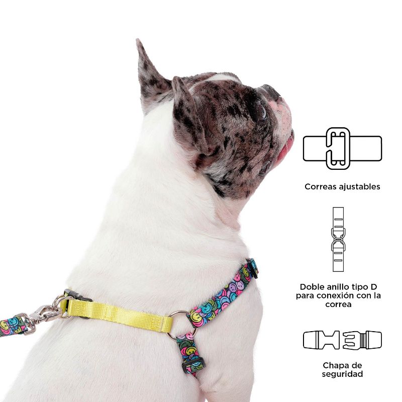 totto-pets-arnes-de-caminata-brunno-azul