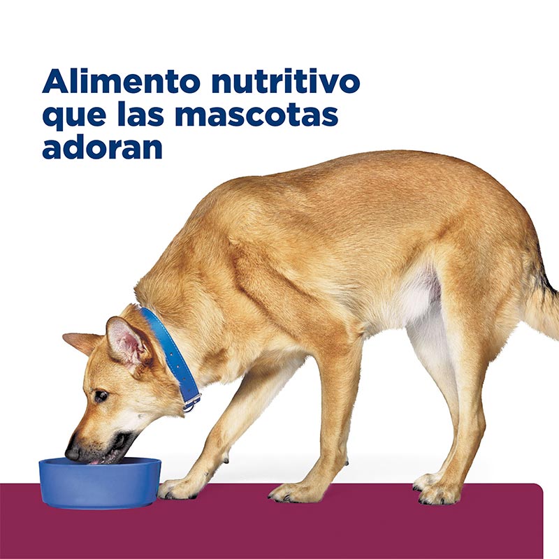 hills-prescription-diet-id-digestive-care-chicken-vegetable-stew-dog