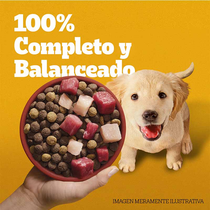 pedigree-alimento-seco-para-perro-cachorro