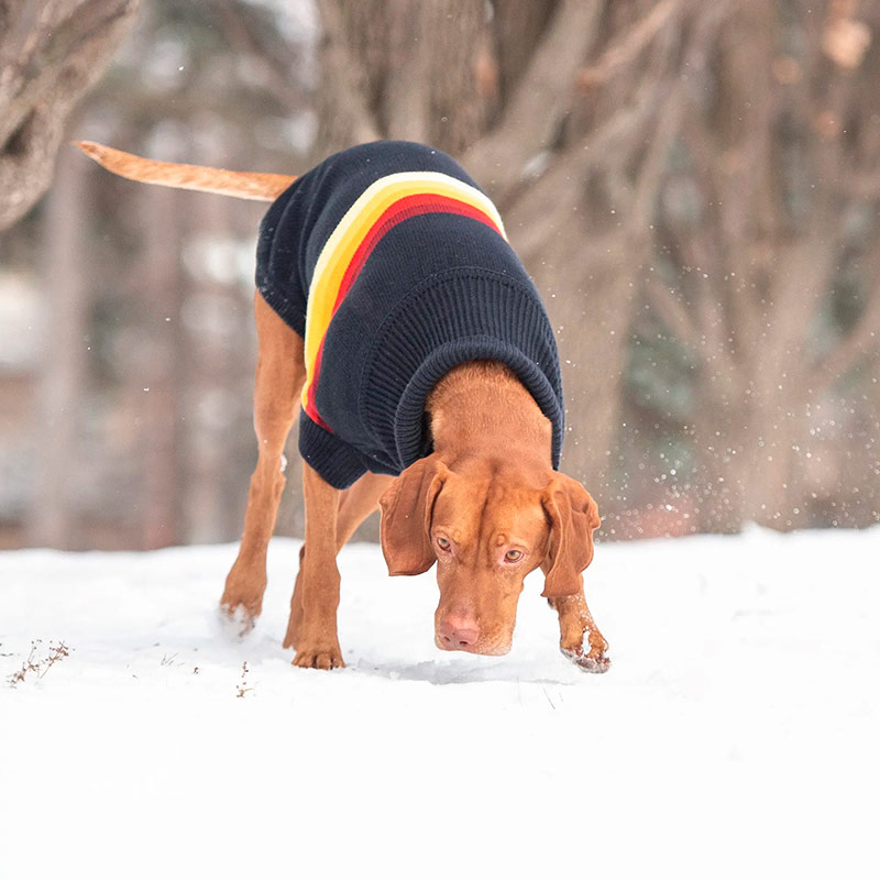 gf-pet-sweater-retro-azul-marino