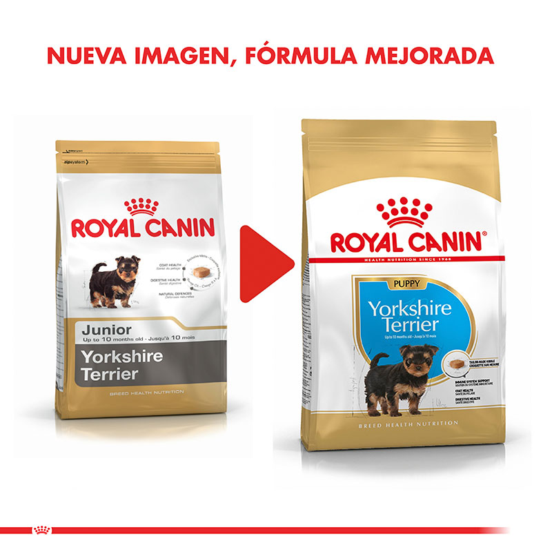 royal-canin-yorkshire-terrier-puppy