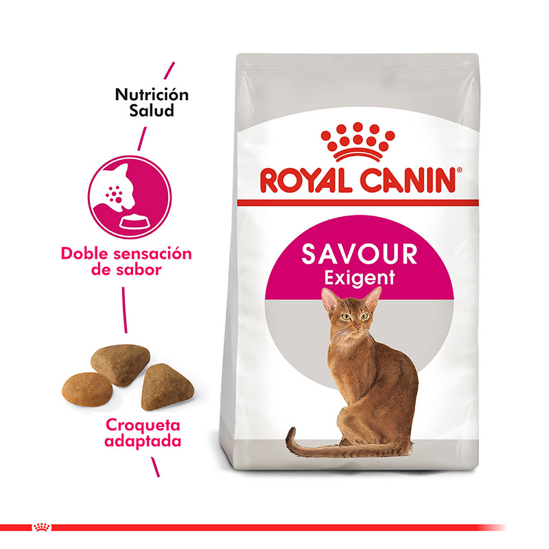 royal-canin-alimento-gato-adulto-exigent