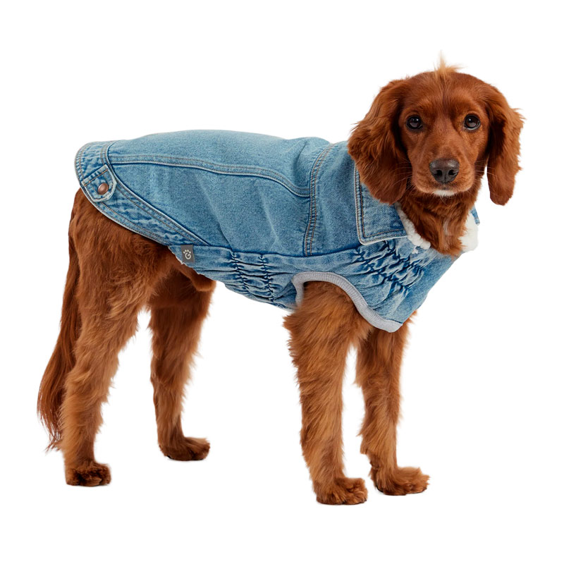 GF Pet - Chaqueta Denim Light Wash