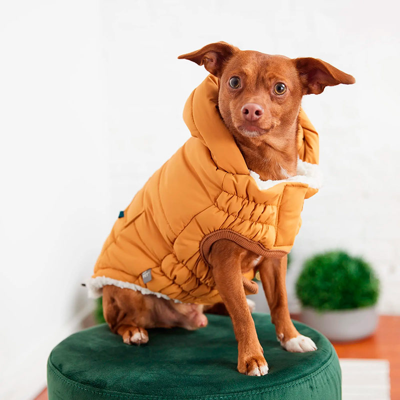 gf-pet-parka-super-puff-amarillo