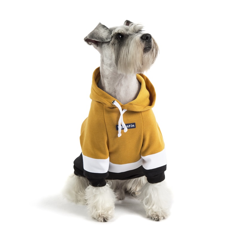 valentin-for-pets-hoodie-tricolor-amarillo