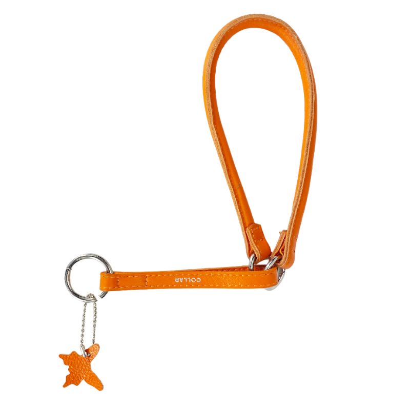 collar-glamour-martingale-choke-naranja