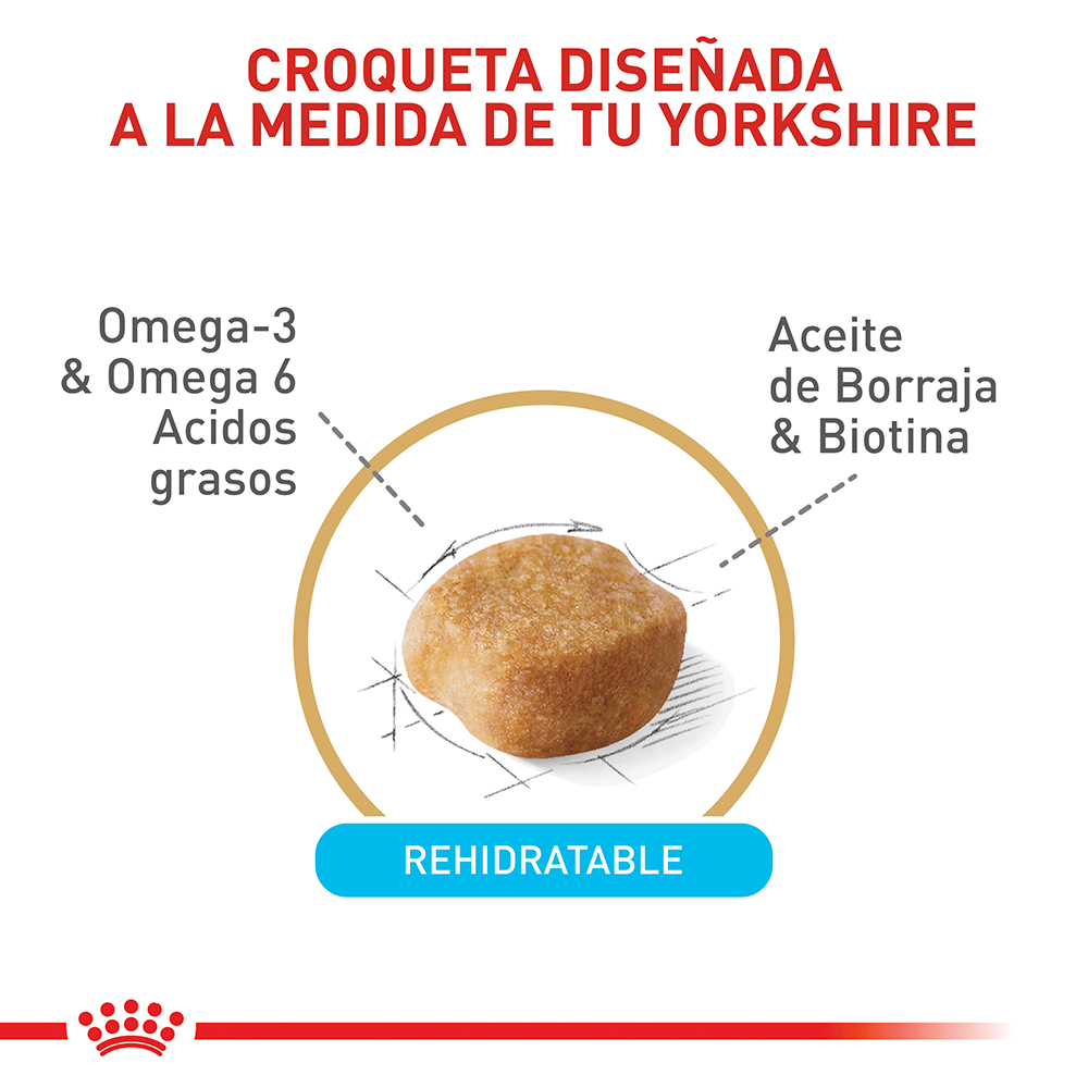 royal-canin-yorkshire-terrier-adulto-8