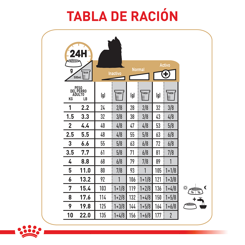 royal-canin-yorkshire-terrier-adulto-8