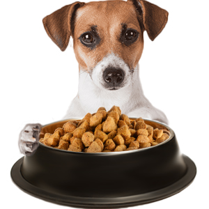 petlove-bowl-antideslizante-negro-cobre