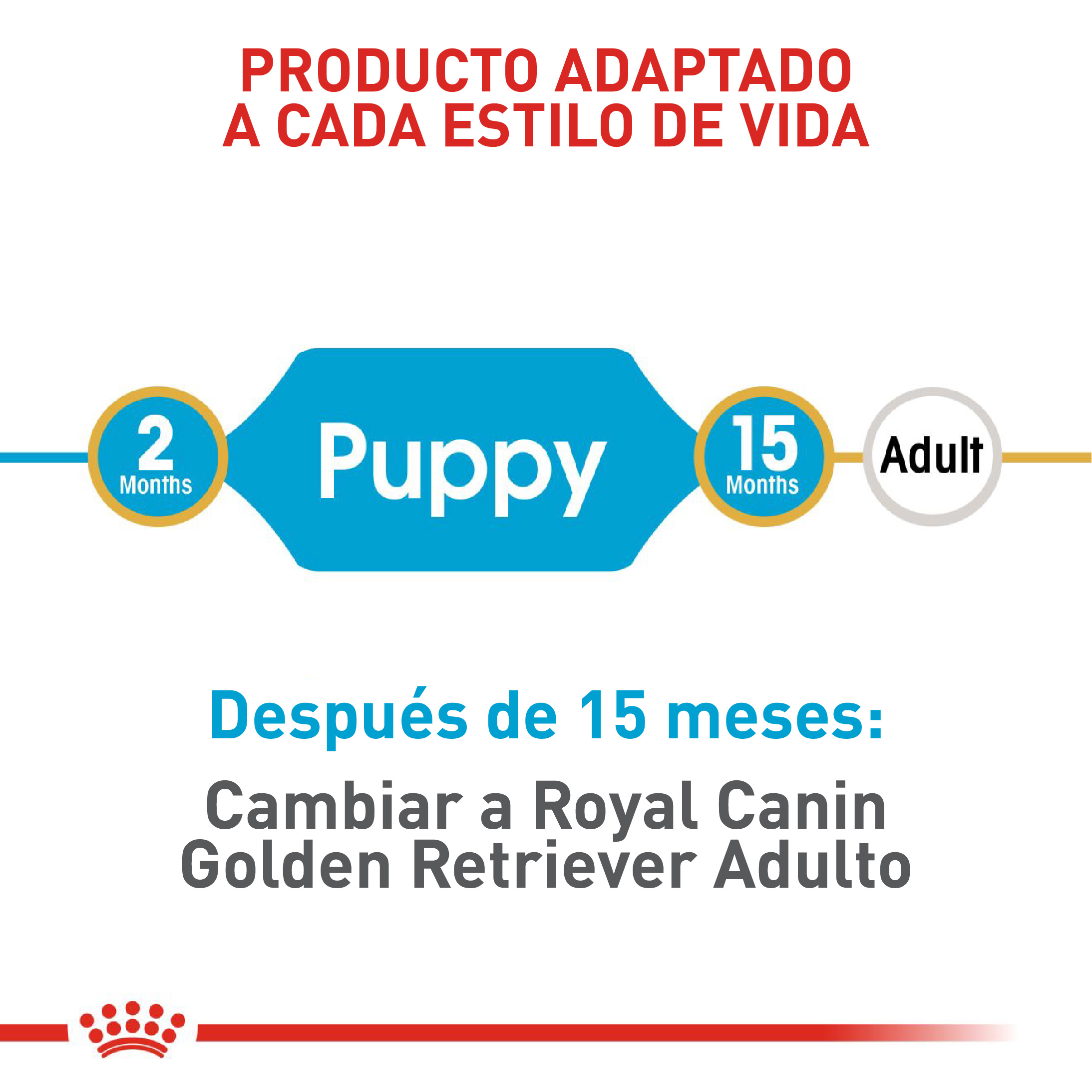 royal-canin-golden-retriever-puppy