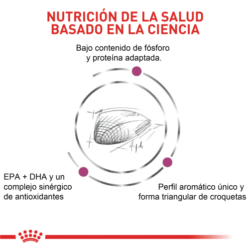 royal-canin-renal-especial-cat
