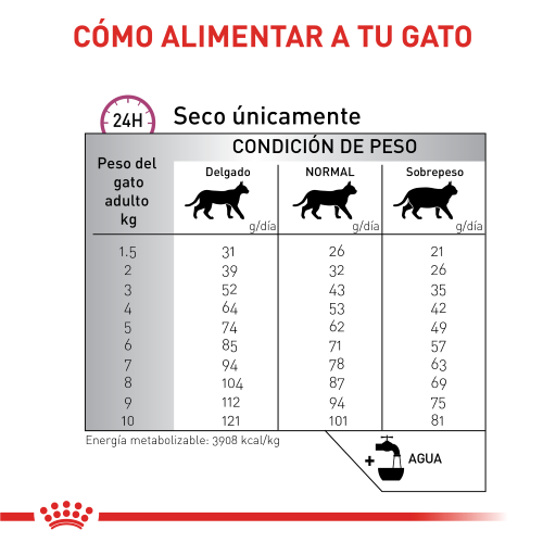 royal-canin-renal-especial-cat