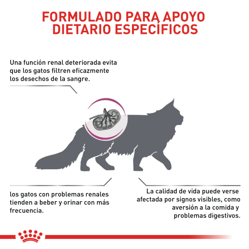royal-canin-renal-especial-cat