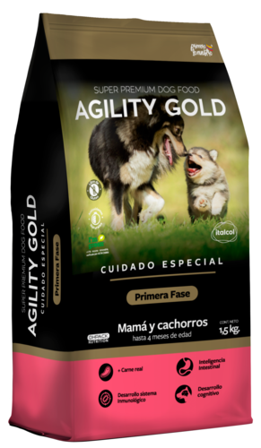 agility-gold-cachorros-primera-fase